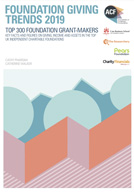 Foundation giving trends 2019 report cover